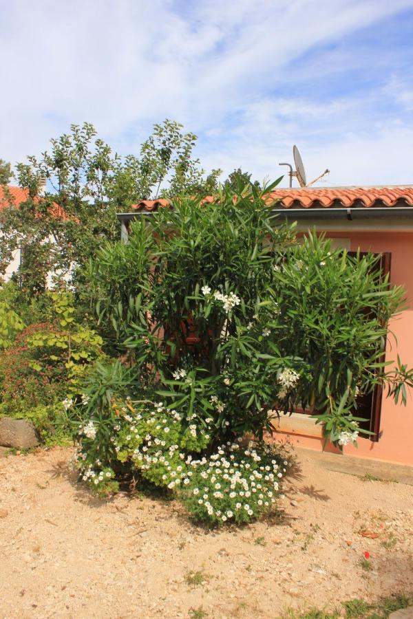 Apartments With A Parking Space Veli Losinj, Losinj - 8029 Veli Lošinj Exterior foto