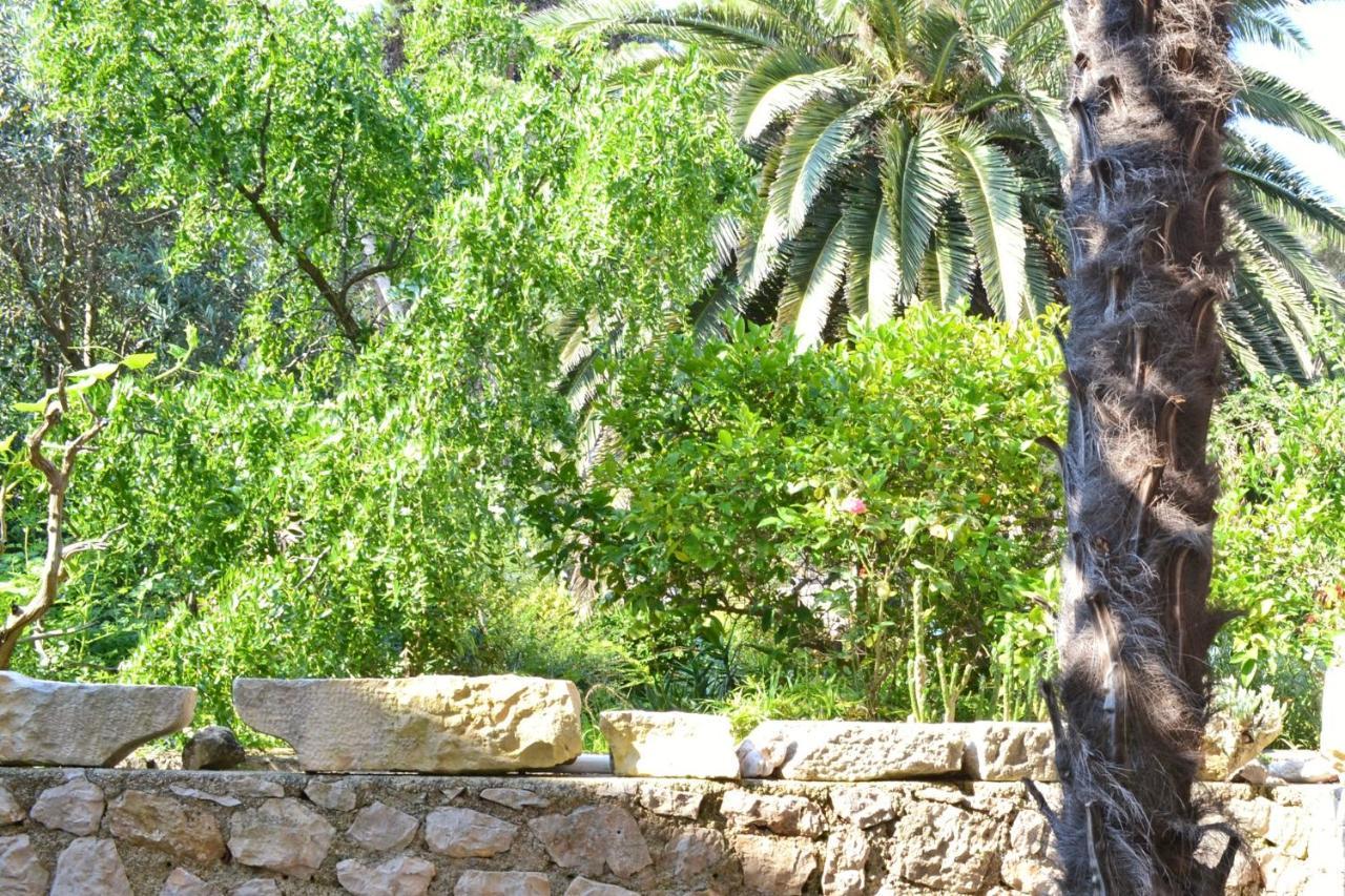 Apartments With A Parking Space Veli Losinj, Losinj - 8029 Veli Lošinj Exterior foto